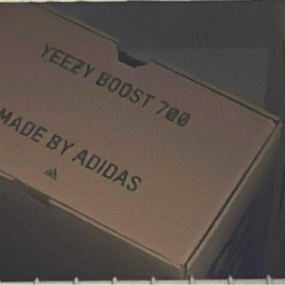Yeezy Light Gray Low-Top Sneaker Interior View